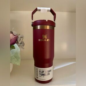 🎉LAST CHANCE🎉NWT Stanley Iceflow FlipStraw 30 oz‎ Tumbler Glided Pomegranate
